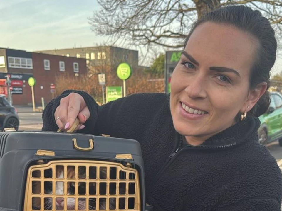 Cat arriving safely in its travel carrier