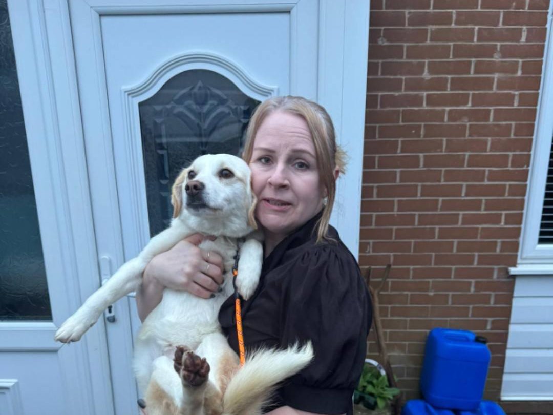 Happy dog safely delivered to its owner at home
