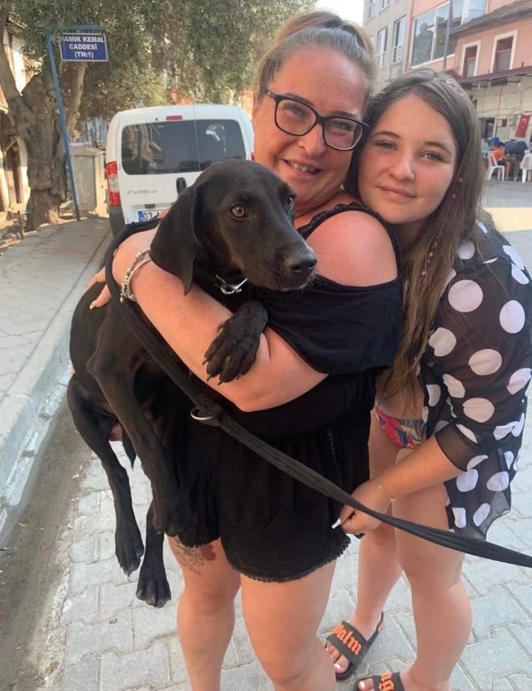 Dog reunited with owner after travel