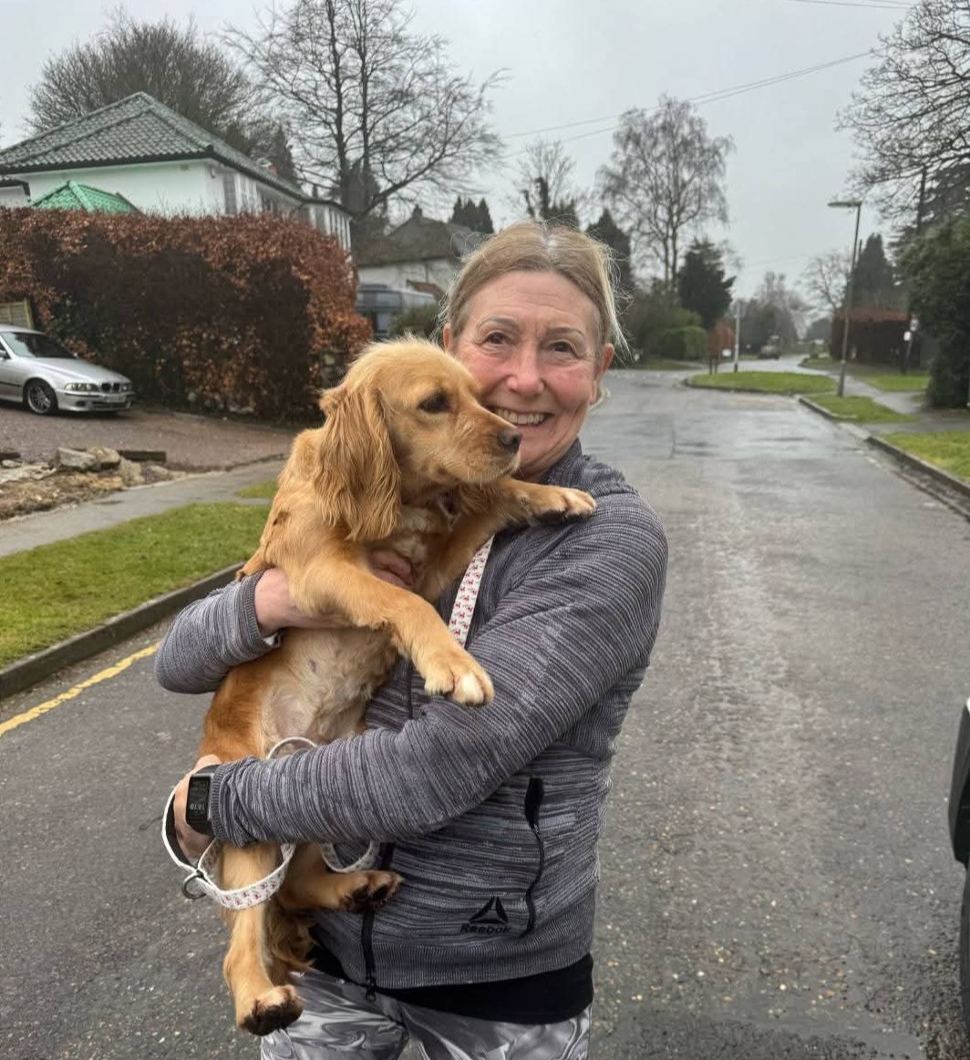 Dog reunited with owner after travel